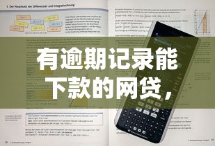 有逾期记录能下款的网贷，解答五家2025最新通过率高的网贷平台