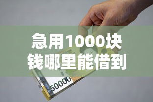 急用1000块钱哪里能借到，国内五大2025最新网络小额贷款平台