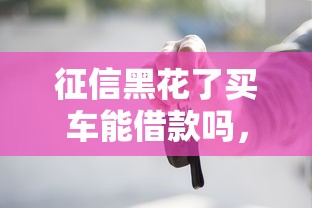 征信黑花了买车能借款吗，总结五个2025最新网贷平台利息最低