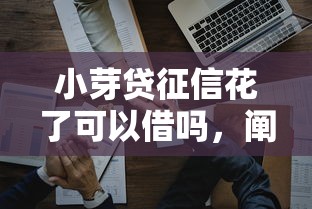 小芽贷征信花了可以借吗，阐述5家2025最新薪朋友一样的预支口子