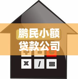 鹏民小额贷款公司：这家金融机构的贷款条件有哪些