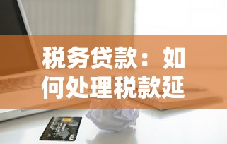 税务贷款：如何处理税款延期支付的融资问题