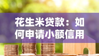 花生米贷款：如何申请小额信用借款