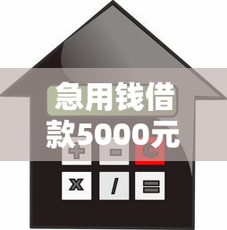 急用钱借款5000元，解答五家2025最新招财猫贷款平台怎么样