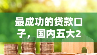 最成功的贷款口子，国内五大2025最新逾期黑户最好下款的借钱平台