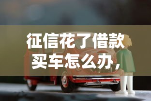 征信花了借款买车怎么办，解答五家2025最新无视黑白下款8000左右的口子