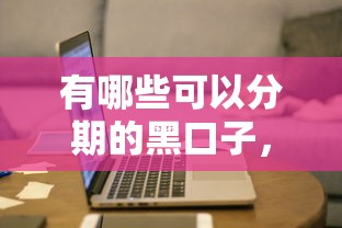 有哪些可以分期的黑口子，汇总五个2025最新征信访问次数太多贷款被秒拒还能在平台借款