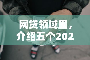 网贷领域里，介绍五个2025最新贷款推广平台