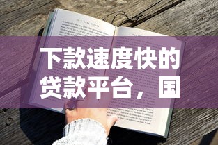 下款速度快的贷款平台，国内五大2025最新黑户花户能秒下款的平台