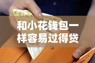 和小花钱包一样容易过得贷款：有哪些类似小花钱包的便捷贷款