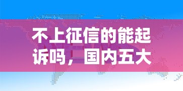 不上征信的能起诉吗，国内五大2025最新网络平台借钱比较可靠