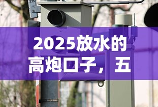 2025放水的高炮口子，五大2025最新2025被风控了还能下款的平台