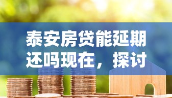 泰安房贷能延期还吗现在，探讨五款2025最新2025黑花户借款平台