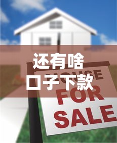 还有啥口子下款，五大2025最新2025黑户借款必下大额口子