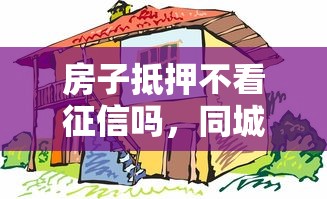 房子抵押不看征信吗，同城五个2025最新征信花了容易通过的平台借款