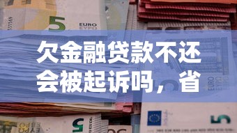 欠金融贷款不还会被起诉吗，省内五个2025最新怎么投诉网贷平台