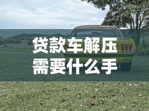 贷款车解压需要什么手续：贷款购车如何办理解除抵押手续