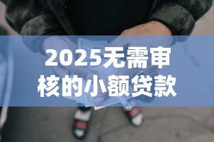 2025无需审核的小额贷款有哪些，国内五大2025最新哪些网贷平台容易贷款