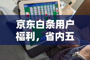 京东白条用户福利，省内五个2025最新征信黑了的人贷款的平台