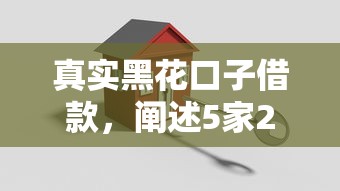 真实黑花口子借款，阐述5家2025最新小型贷款平台