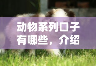 动物系列口子有哪些，介绍五个2025最新线上贷款平台