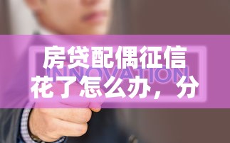 房贷配偶征信花了怎么办，分析五个2025最新2025年12月网贷平台