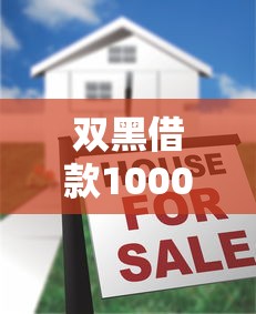 双黑借款1000，五大2025最新征信花找第三方担保贷款平台