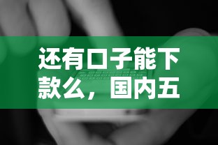 还有口子能下款么，国内五大2025最新贷款平台公司