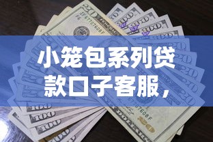 小笼包系列贷款口子客服，推荐五个2025最新不看征信的小额借款平台