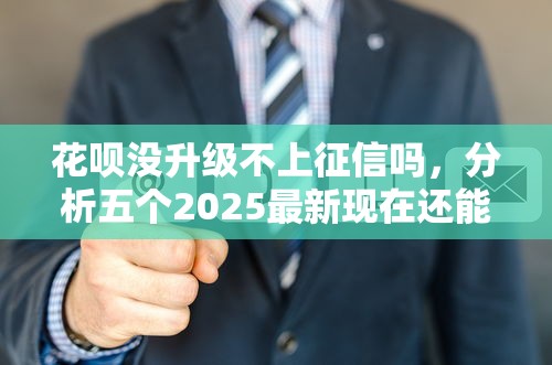 花呗没升级不上征信吗，分析五个2025最新现在还能贷款的平台
