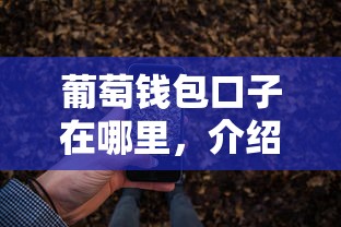 葡萄钱包口子在哪里，介绍五个2025最新手机借钱平台
