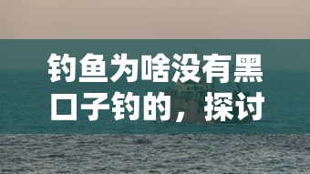 钓鱼为啥没有黑口子钓的，探讨五款2025最新小微企业网上贷款平台