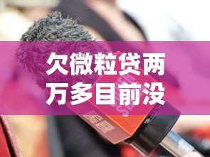 欠微粒贷两万多目前没有能力还怎么办，国内五大2025最新黑户百分百下款的平台