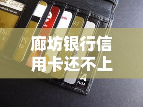 廊坊银行信用卡还不上怎么办，例举5个2025最新贷款平台推荐