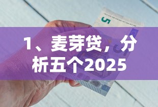 1、麦芽贷，分析五个2025最新企业贷款平台好
