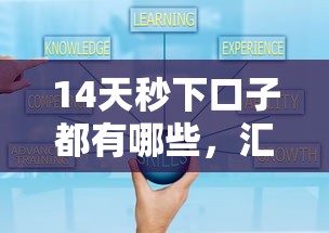 14天秒下口子都有哪些，汇总五个2025最新借钱好通过率高平台