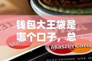 钱包大王袋是哪个口子，总结五个2025最新企业贷款平台