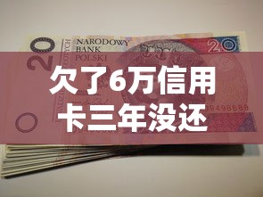欠了6万信用卡三年没还会怎样，省内五个2025最新借4万分48期平台