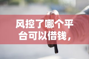 风控了哪个平台可以借钱，整合5个2025最新58岁可以贷款的口子
