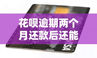 花呗逾期两个月还款后还能使用吗，盘点五个2025最新有没有什么软件征信黑了可以贷款