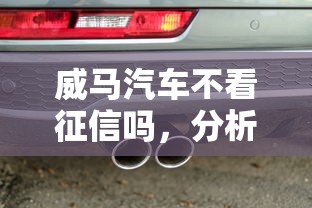 威马汽车不看征信吗，分析五个2025最新贷款平台好下款不看征信