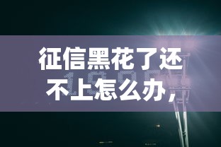 征信黑花了还不上怎么办，汇总五个2025最新p2p平台贷款