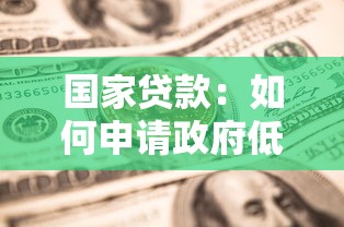 国家贷款：如何申请政府低息金融支持