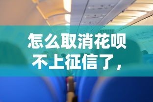 怎么取消花呗不上征信了，例举5个2025最新网贷平台网贷怎么样