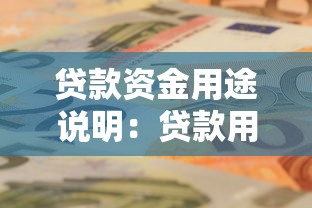 贷款资金用途说明：贷款用途需如何详细描述