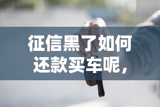 征信黑了如何还款买车呢，总结五个2025最新好贷款的平台