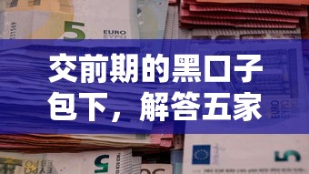 交前期的黑口子包下，解答五家2025最新线下贷款平台