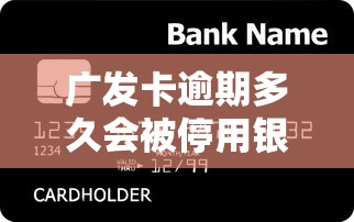 广发卡逾期多久会被停用银行卡，介绍五个2025最新网络平台贷款