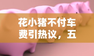 花小猪不付车费引热议，五大2025最新什么贷款平台额度高