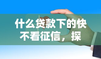 什么贷款下的快不看征信，探讨五款2025最新类似花薪的30天借款平台